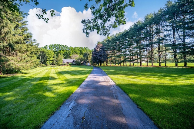 322 Union School Rd, Middletown, NY 10941 - view of community featuring a yard