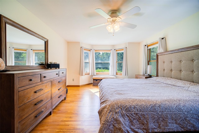 322 Union School Rd, Middletown, NY 10941 - bedroom featuring light wood-style flooring, multiple windows, and a ceiling fan