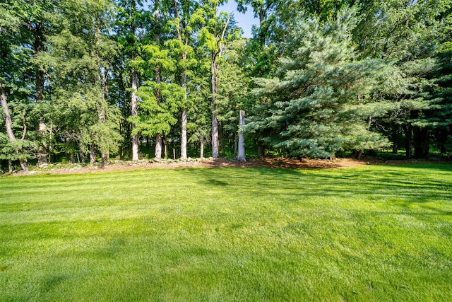 322 Union School Rd, Middletown, NY 10941 - view of green lawn