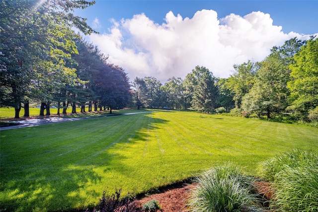 322 Union School Rd, Middletown, NY 10941 - view of green lawn