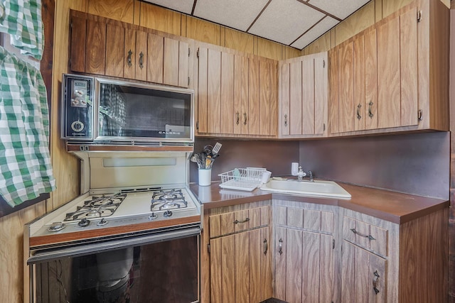 6842 78th St, Flushing, NY 11379 - photo 6