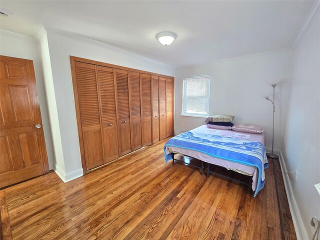 7610 174th St, Fresh Meadows, NY 11366 - photo 16