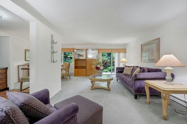 12 Scenic Dr Unit K, Croton-On-Hudson, NY 10520 - living room featuring carpet flooring and a baseboard heating unit