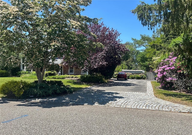 906 Thompson Dr, Bay Shore, NY 11706 - view of front facade with driveway