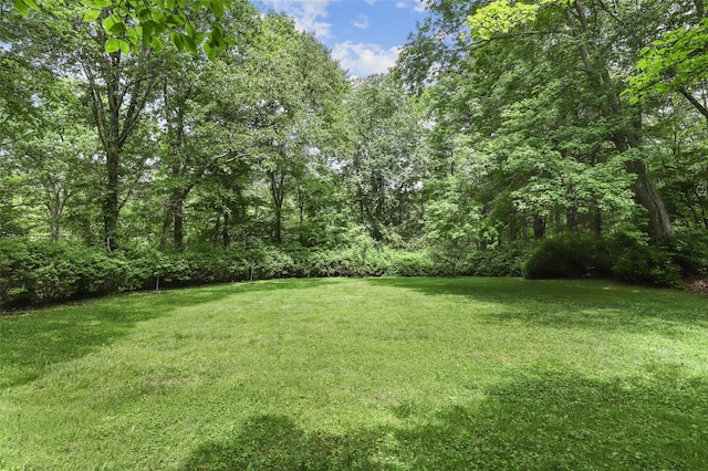 295 N Salem Rd, Waccabuc, NY 10597 - view of green lawn