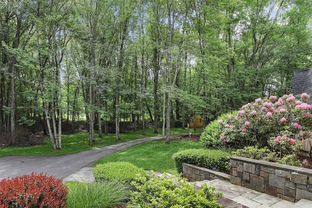 295 N Salem Rd, Waccabuc, NY 10597 - view of community with a lawn
