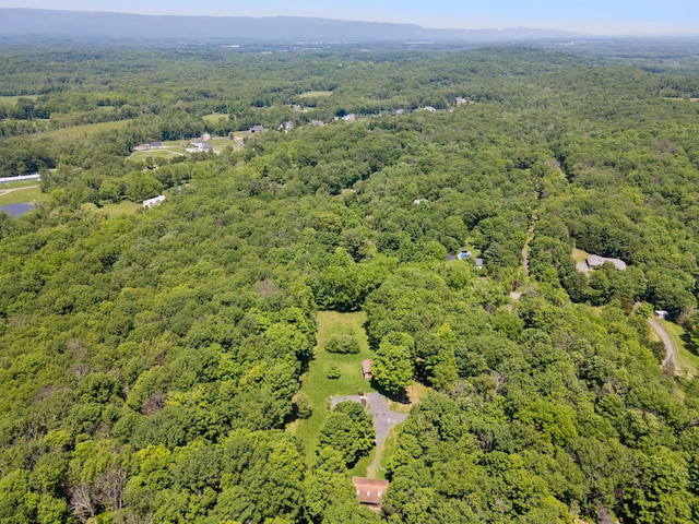 294 Comfort Trl, Montgomery, NY 12549 - photo 43