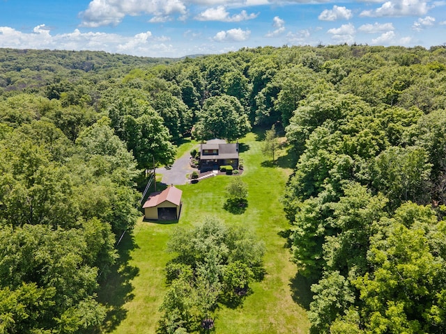 294 Comfort Trl, Montgomery, NY 12549 - photo 45