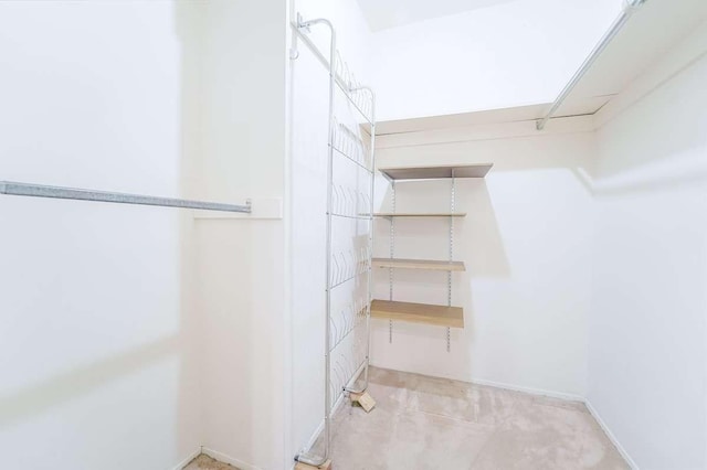 13 Bayberry Ln, Rye Brook, NY 10573 - view of spacious closet
