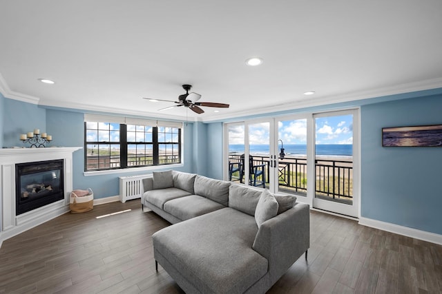26 W Broadway Unit 405, Long Beach, NY 11561 - living room with radiator, crown molding, wood finished floors, ceiling fan, and a glass covered fireplace