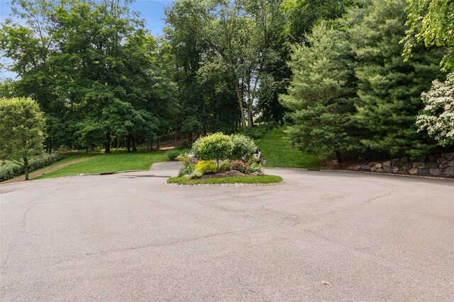 97 Hillcrest Ln, Peekskill, NY 10566 - view of asphalt road
