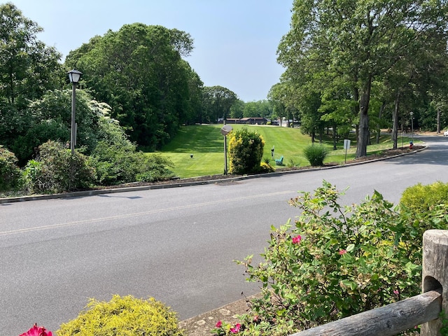 77 Birchwood Rd, Coram, NY 11727 - view of asphalt road featuring street lights, curbs, and view of wooded area