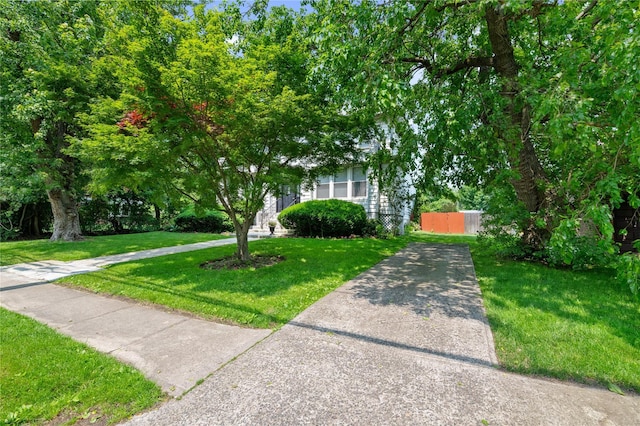 1020 New Mcneil Ave, Lawrence, NY 11559 - view of property hidden behind natural elements featuring a front lawn and concrete driveway