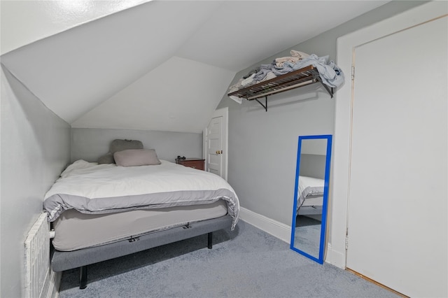 1020 New Mcneil Ave, Lawrence, NY 11559 - bedroom featuring carpet flooring and lofted ceiling