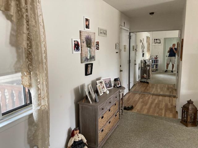 24 Village Park Dr Unit 3F, Fishkill, NY 12524 - corridor featuring wood finished floors and carpet floors
