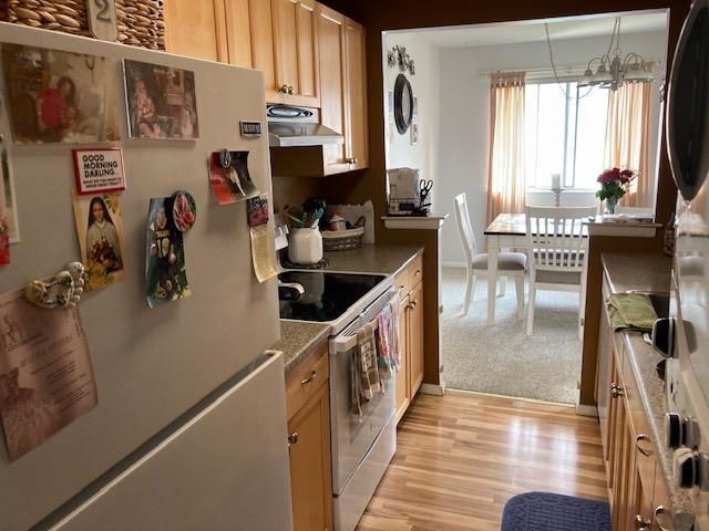 24 Village Park Dr Unit 3F, Fishkill, NY 12524 - kitchen featuring freestanding refrigerator, range hood, white electric range oven, and light wood-style flooring