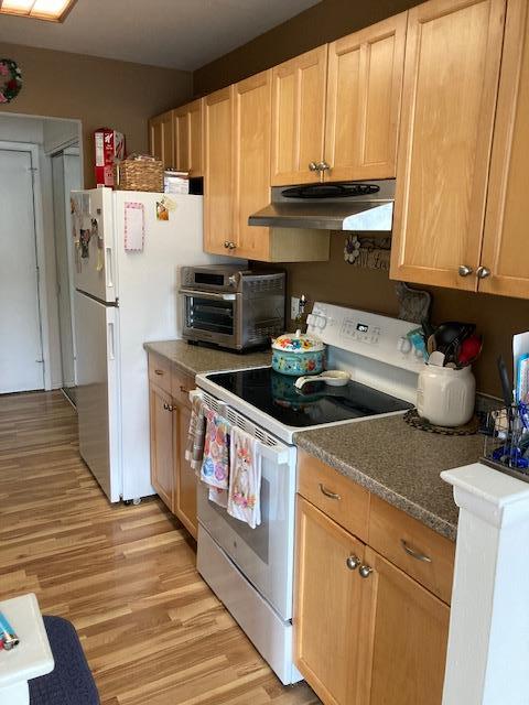 24 Village Park Dr Unit 3F, Fishkill, NY 12524 - kitchen with white appliances, under cabinet range hood, and light wood-style floors