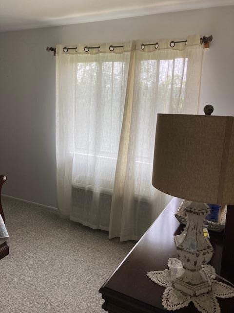 24 Village Park Dr Unit 3F, Fishkill, NY 12524 - bedroom featuring carpet flooring