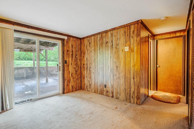 104 Cedarhurst Ave, Selden, NY 11784 - empty room with carpet flooring, wood walls, and a smoke detector
