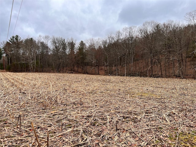 00 State Route 97th Rte, Cochecton, NY 12726