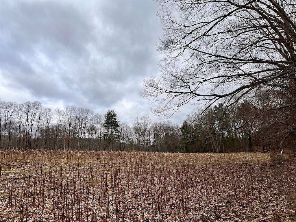00 State Route 97th Rte, Cochecton, NY 12726