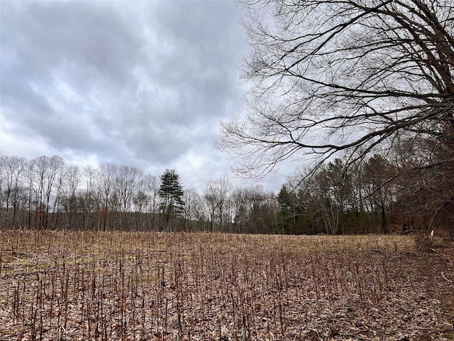 00 State Route 97th Rte, Cochecton, NY 12726