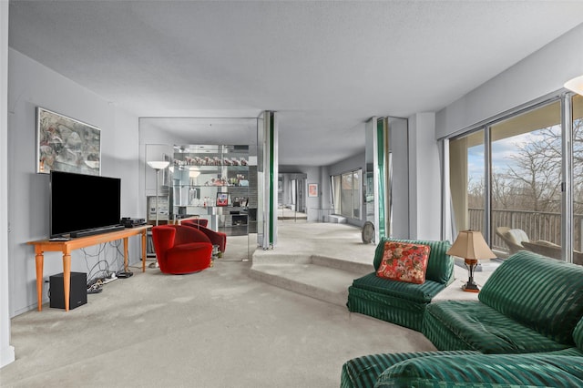 4455 Douglas Ave Unit 3Fe, Bronx, NY 10471 - view of carpeted living room