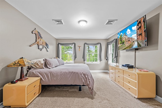 24 Hampton Ct, Wallkill, NY 12589 - bedroom with baseboards and light colored carpet