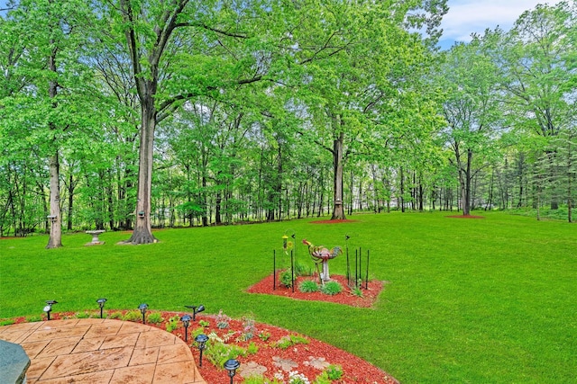 24 Hampton Ct, Wallkill, NY 12589 - view of grassy yard