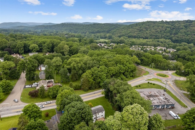4 Westbrook Dr, Cortlandt Manor, NY 10567 - drone / aerial view of a forest and a mountain backdrop