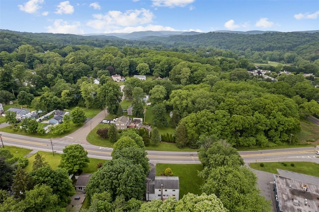 4 Westbrook Dr, Cortlandt Manor, NY 10567 - aerial view of a forest and mountains