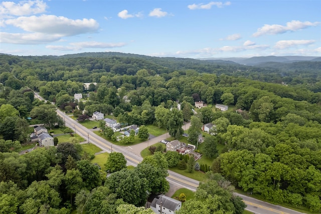 4 Westbrook Dr, Cortlandt Manor, NY 10567 - aerial view of a forest and a mountain backdrop