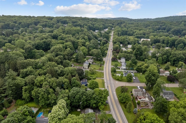 4 Westbrook Dr, Cortlandt Manor, NY 10567 - bird's eye view of a forest