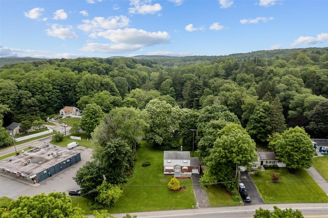 4 Westbrook Dr, Cortlandt Manor, NY 10567 - aerial view of a heavily wooded area