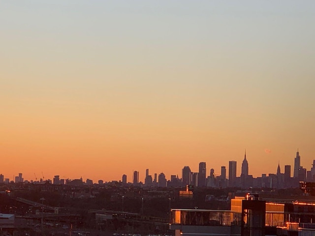 132-35 41st Rd Unit 14B, Flushing, NY 11355 - skyline view