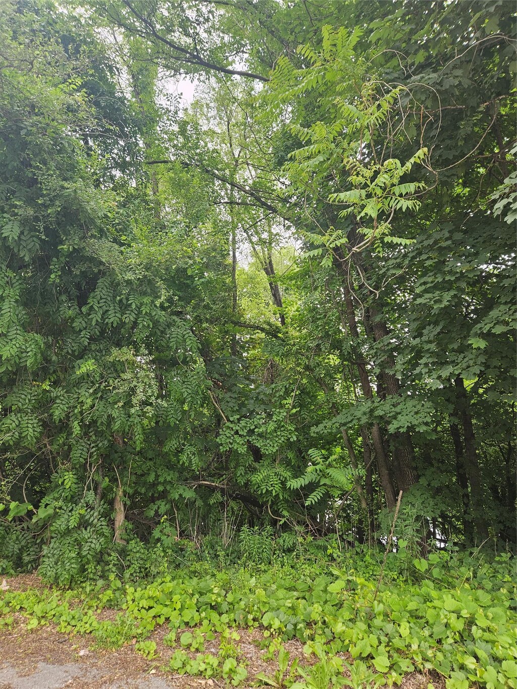 90 Towners, Carmel, NY 10512 - photo 1
