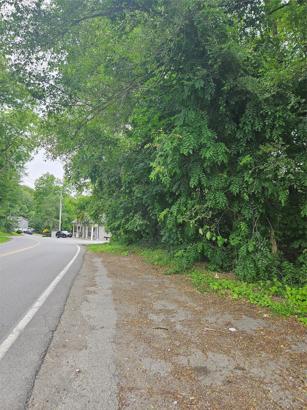 90 Towners, Carmel, NY 10512 - photo 2