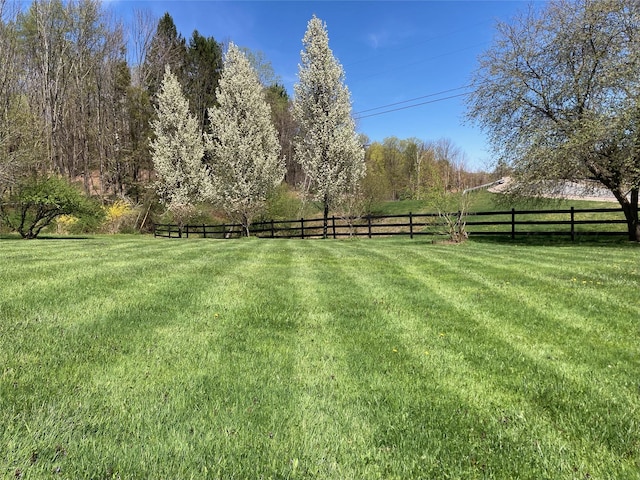 California Ave, Liberty, NY 12754 - photo 1