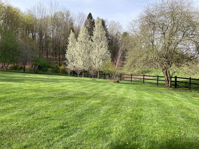 California Ave, Liberty, NY 12754 - photo 2