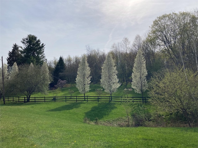 California Ave, Liberty, NY 12754 - photo 3