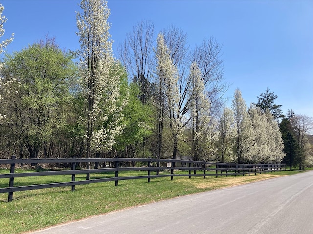 California Ave, Liberty, NY 12754 - photo 4
