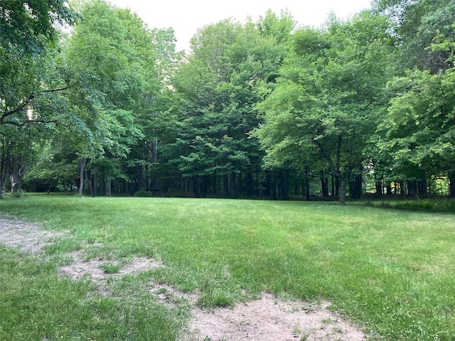California Ave, Liberty, NY 12754 - photo 5