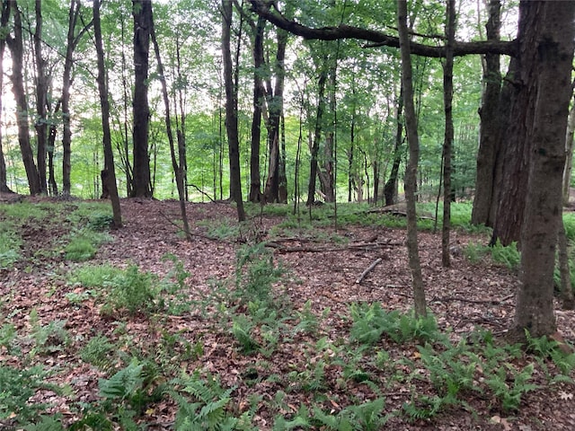 California Ave, Liberty, NY 12754 - photo 6
