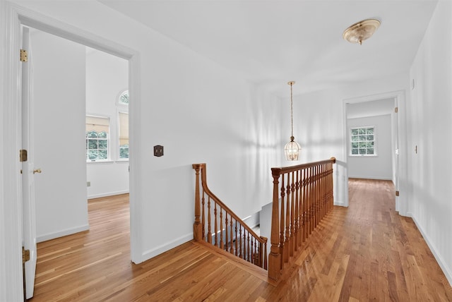 16 Apple Summit Ln, Lagrangeville, NY 12540 - corridor featuring an upstairs landing and light wood-style floors
