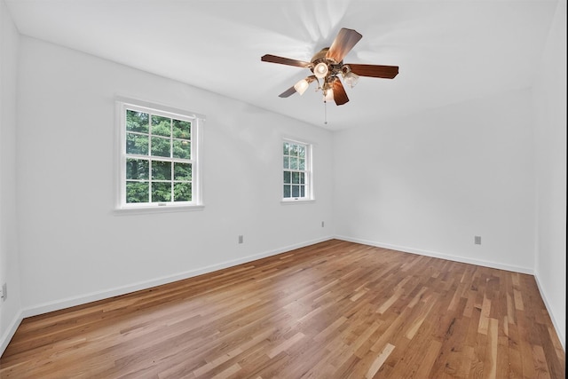 16 Apple Summit Ln, Lagrangeville, NY 12540 - spare room featuring light wood-style floors and ceiling fan