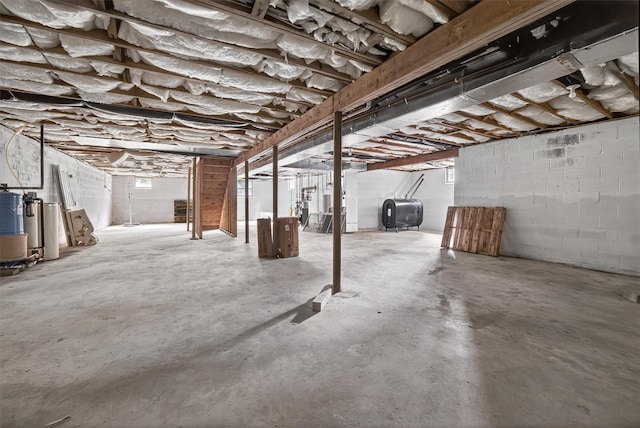 16 Apple Summit Ln, Lagrangeville, NY 12540 - unfinished basement with oil tank and a water softener system