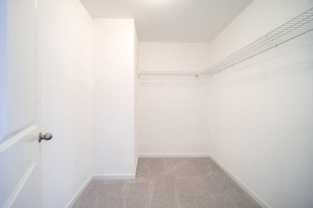 31 Pinto Rd W, Middletown, NY 10941 - walk in closet with carpet flooring