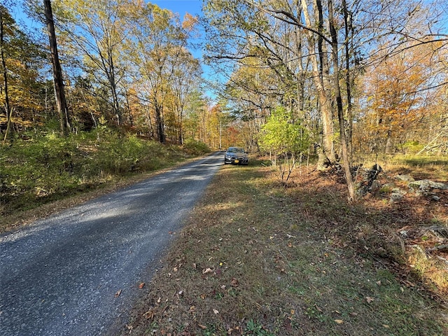 70 Joseph Ln, Cairo, NY 12058