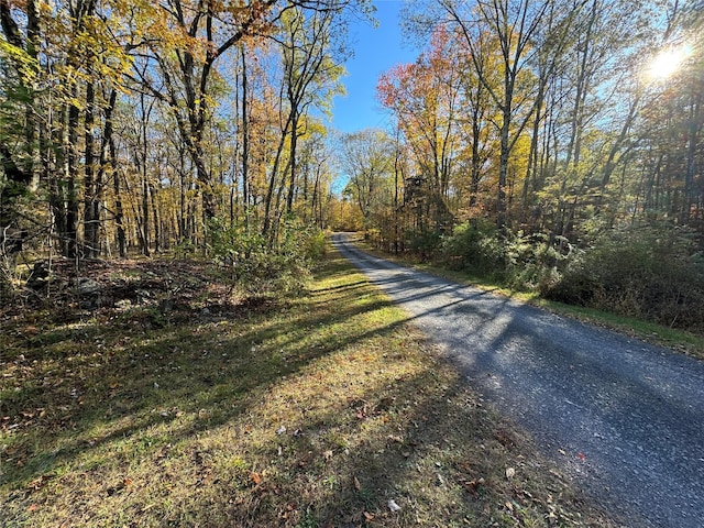 70 Joseph Ln, Cairo, NY 12058