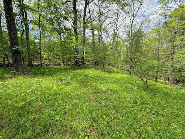 70 Joseph Ln, Cairo, NY 12058